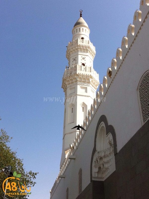 Mo3tmreen yyaffasj3 (4).JPG